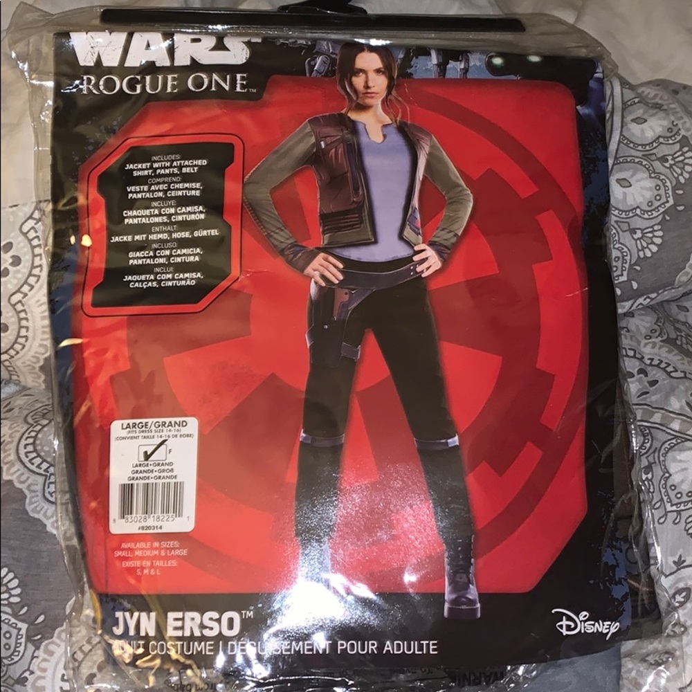 Star Wars Rogue Costume